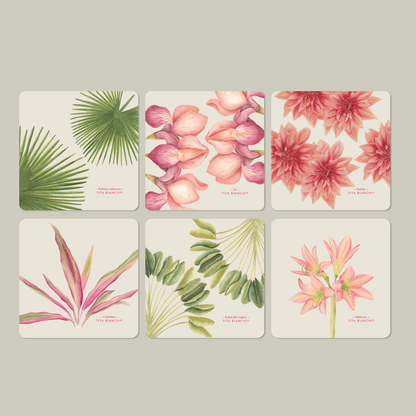 Posavasos Botánicos – Set de 6