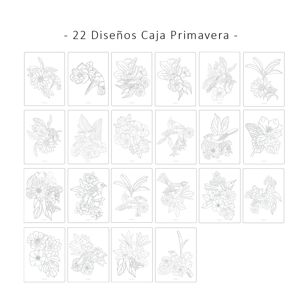 22 diseños de la caja primavera. Laminas para pintar con dibujos de flores, hojas, pájaros y mariposas.