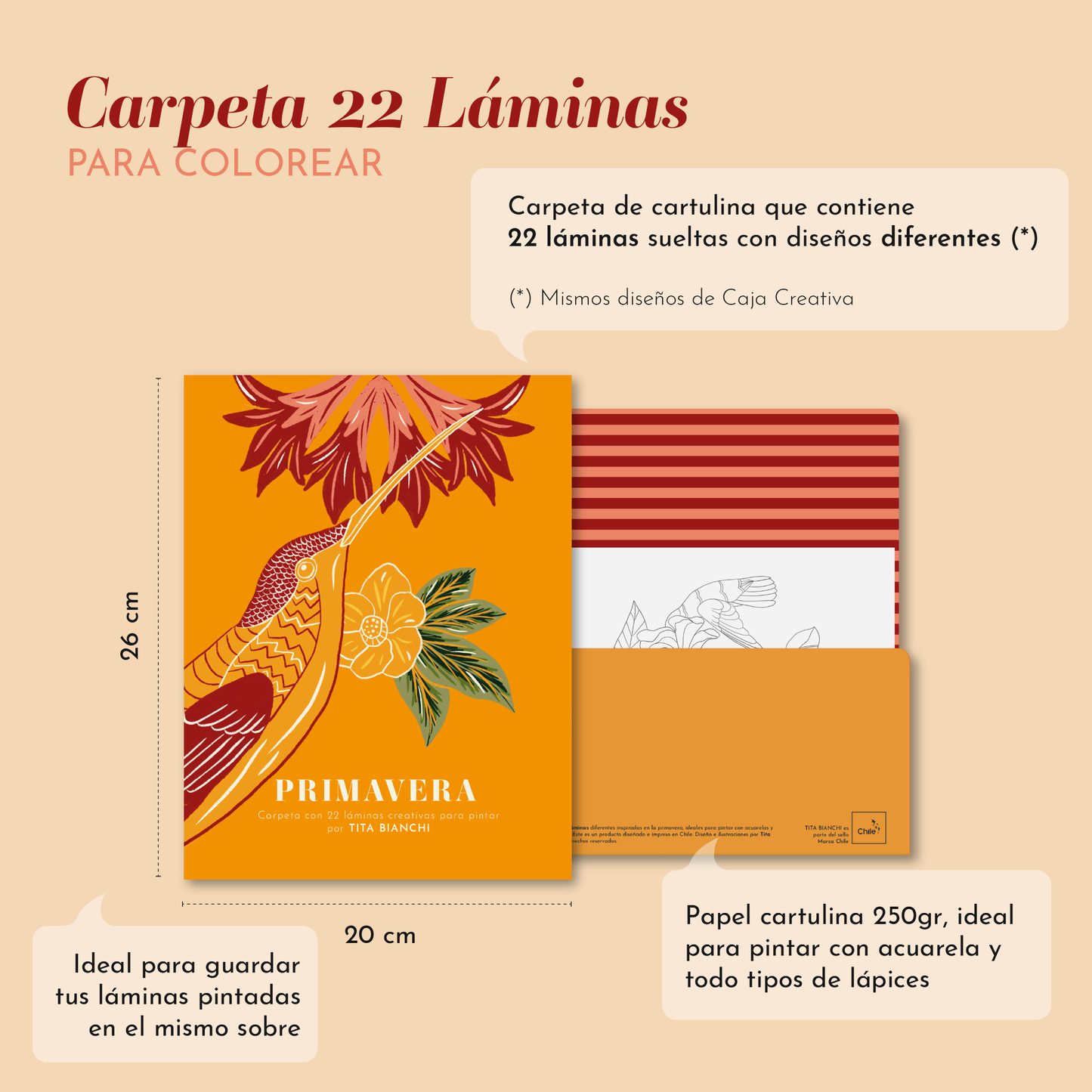 Carpeta Primavera con 22 láminas para pintar