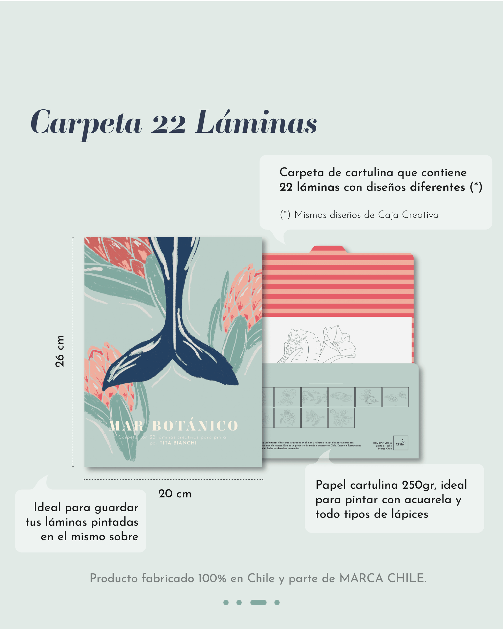 Láminas para pintar con ilustraciones de naturaleza, ballenas, caballitos de mar, tortugas marinas, para pintar con acuarela y todo tipo de lápices, tita bianchi, colorear para adultos
