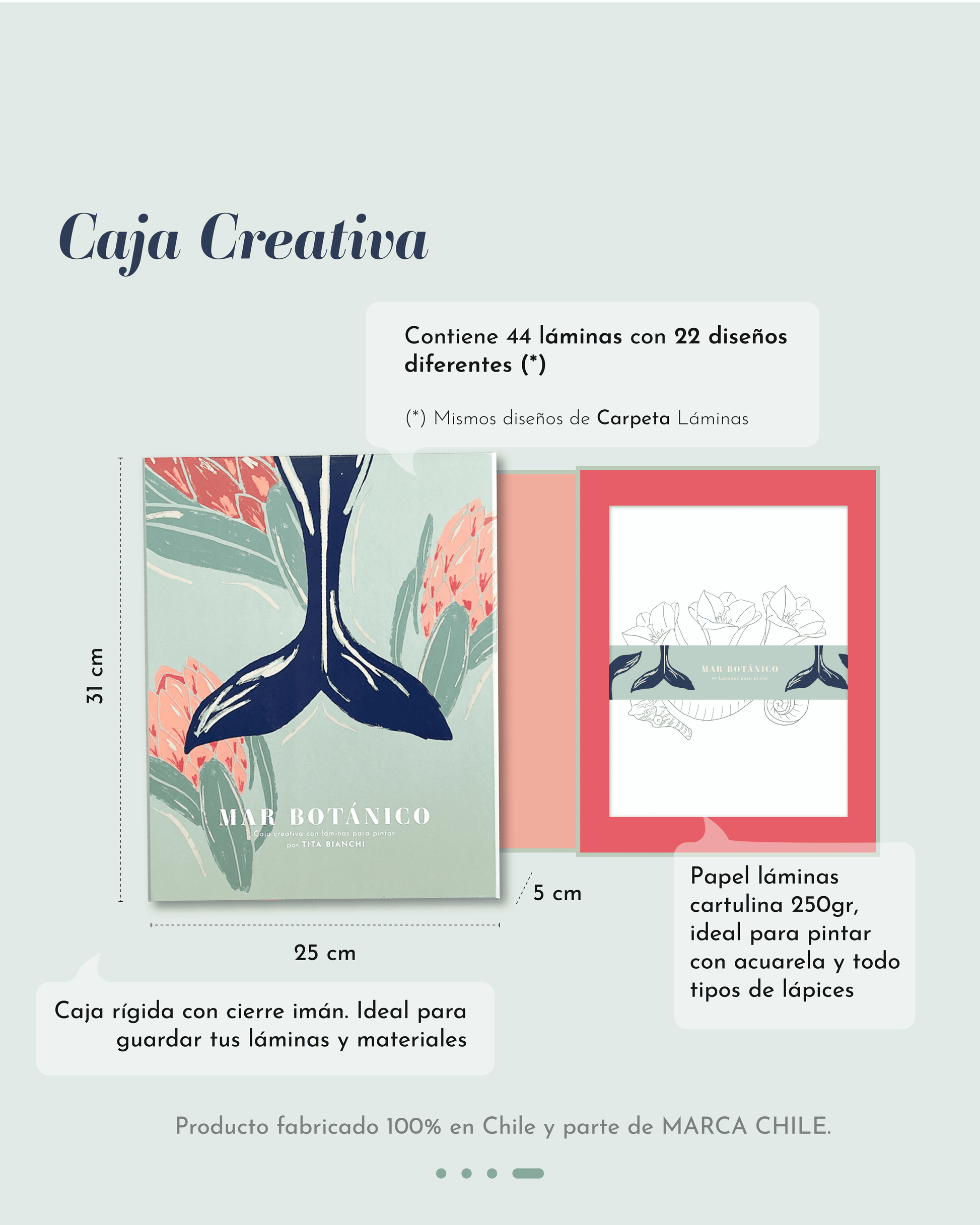 Láminas para pintar con ilustraciones de naturaleza, ballenas, caballitos de mar, tortugas marinas, para pintar con acuarela y todo tipo de lápices, tita bianchi, colorear para adultos
