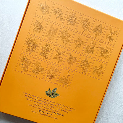 Primavera, Láminas para pintar por TITA BIANCHI. 44 láminas para pintar con acuarela y todo tipo de lápices. Ilustraciones de flores, pájaros, mariposas, hojas