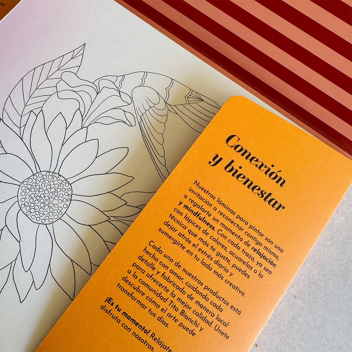 Láminas para pintar con ilustraciones de naturaleza, pajaros, flores, mariposas, para pintar con acuarela y todo tipo de lápices, tita bianchi, colorear para adultos