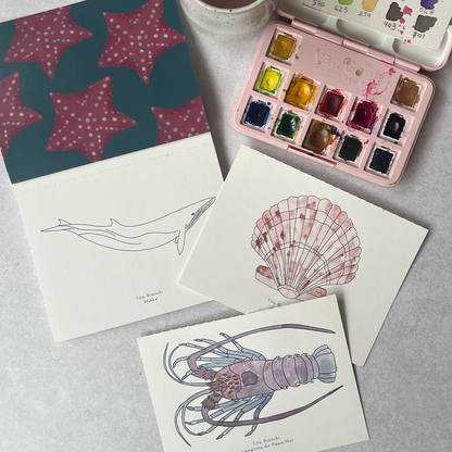 libro para pintar con acuarela, dibujos inspirados en animales del mar, como ballenas, cangrejos, jaibas, conchitas. Puedes pintar con acuarelas.