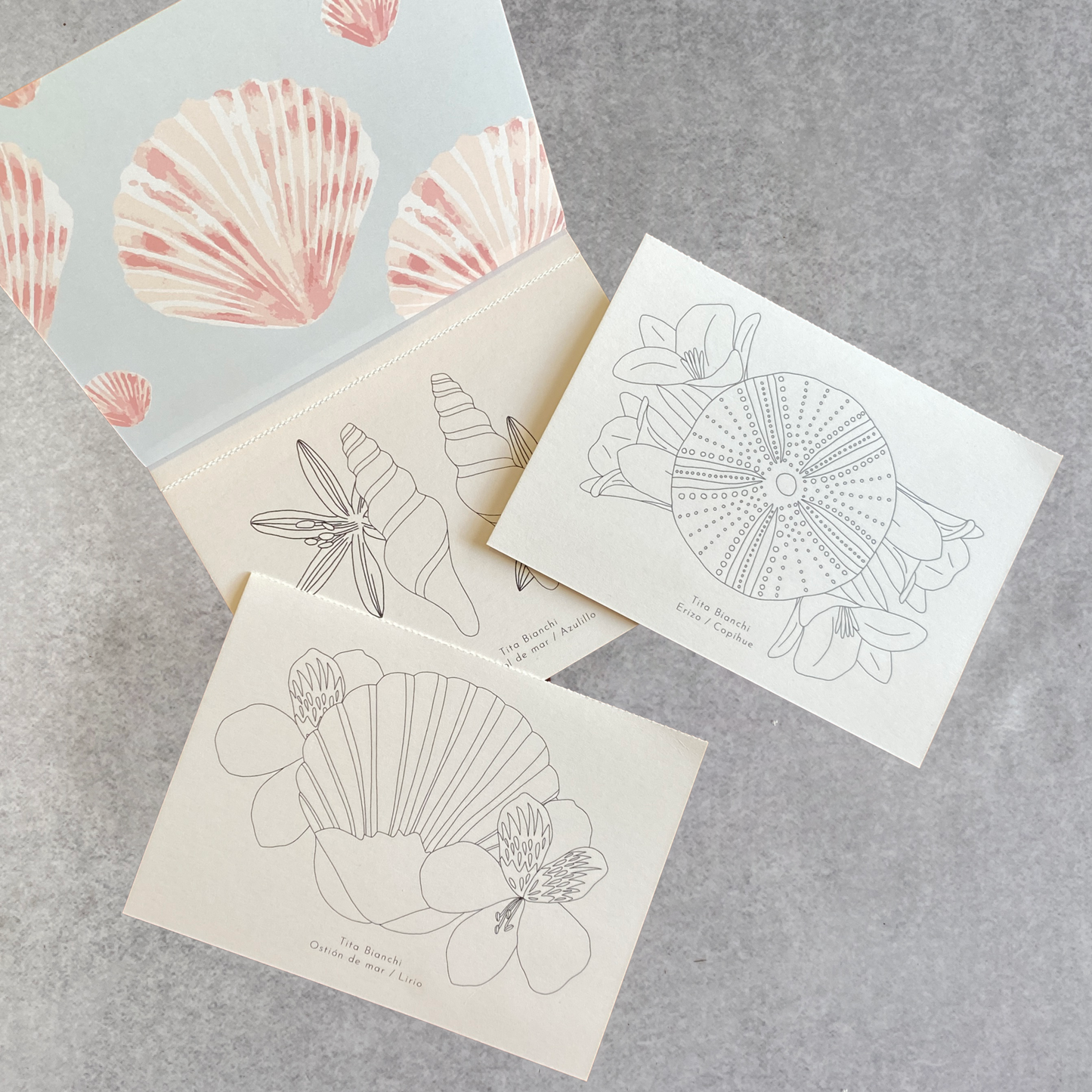 Libros para pintar inspirados en la naturaleza, tamaño pocket ideal para viaje, tita bianchi, pintar con acuarela y lápices 