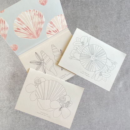 Libros para pintar inspirados en la naturaleza, tamaño pocket ideal para viaje, tita bianchi, pintar con acuarela y lápices 