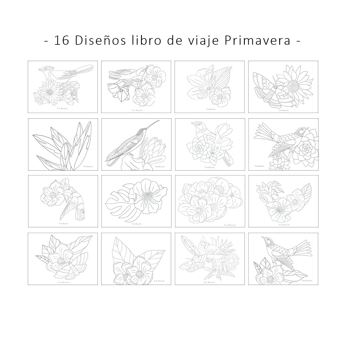 Libros para pintar inspirados en la naturaleza, tamaño pocket ideal para viaje, tita bianchi, pintar con acuarela y lápices 