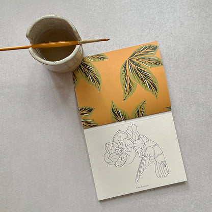 libro para pintar con láminas que se sacan con predicado con dibujos de pájaros y flores, vaso de cerámica para apoyar pincel. Dibujos para pintar
