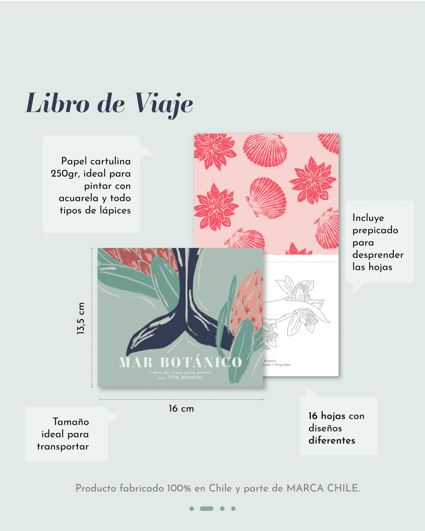 Láminas para pintar con ilustraciones de naturaleza, ballenas, caballitos de mar, tortugas marinas, para pintar con acuarela y todo tipo de lápices, tita bianchi, colorear para adultos
