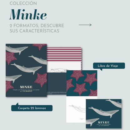 Libro pintar Minke