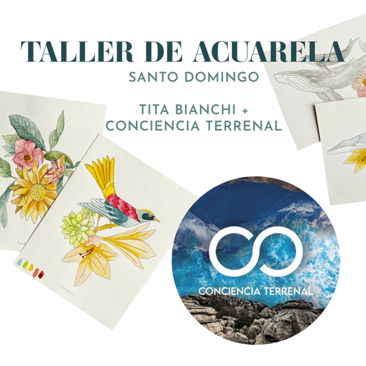 Taller de acuarela presencial Sábado 19 de Octubre - SANTO DOMINGO