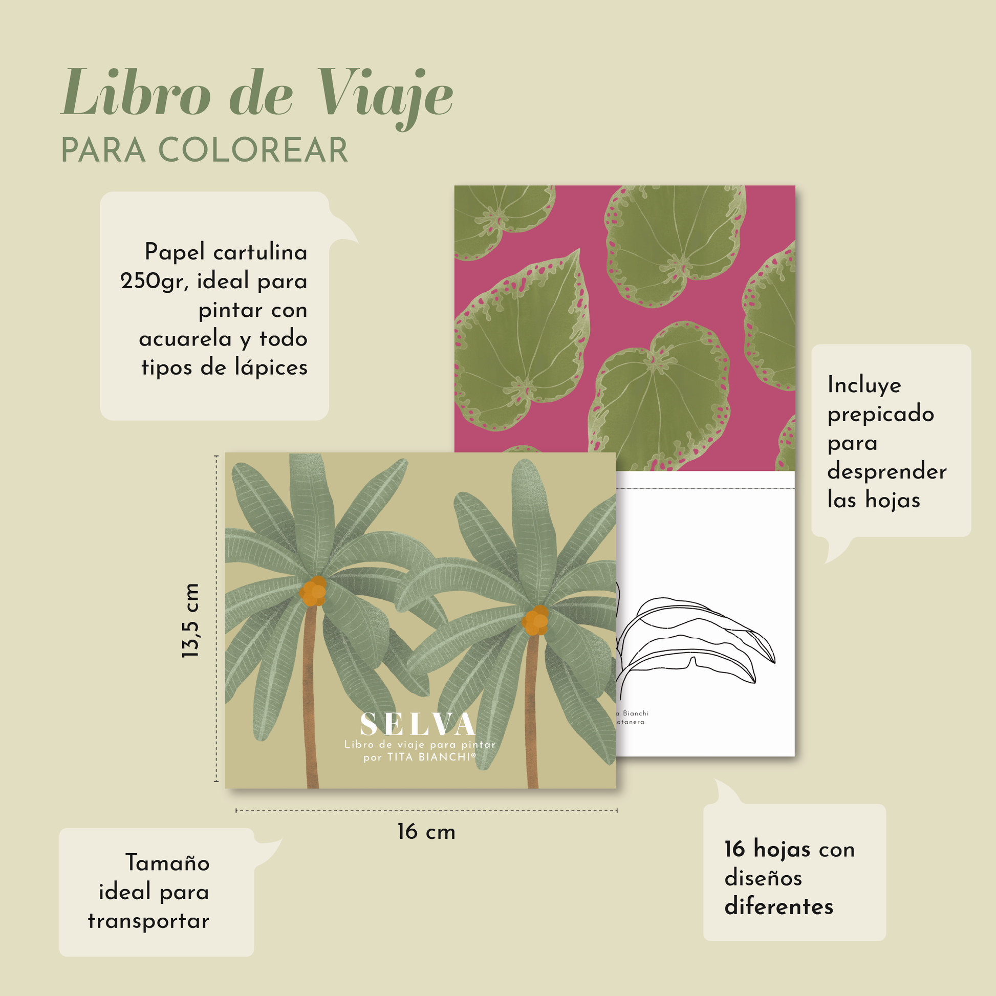 Dibujos para pintar
libro para pintar
libro para colorear
dibujos de hojas y plantas para pintar