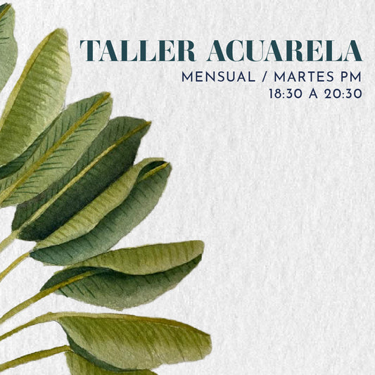 Taller de acuarela presencial mensual Octubre - Todos los materiales incluidos PM