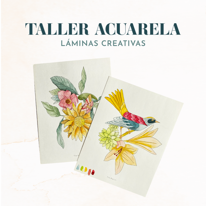 taller de acuarela donde aprenderás a pintar en acuarela sobre láminas con ilustraciones ya listas, no necesitas saber dibujar, Tita Bianchi