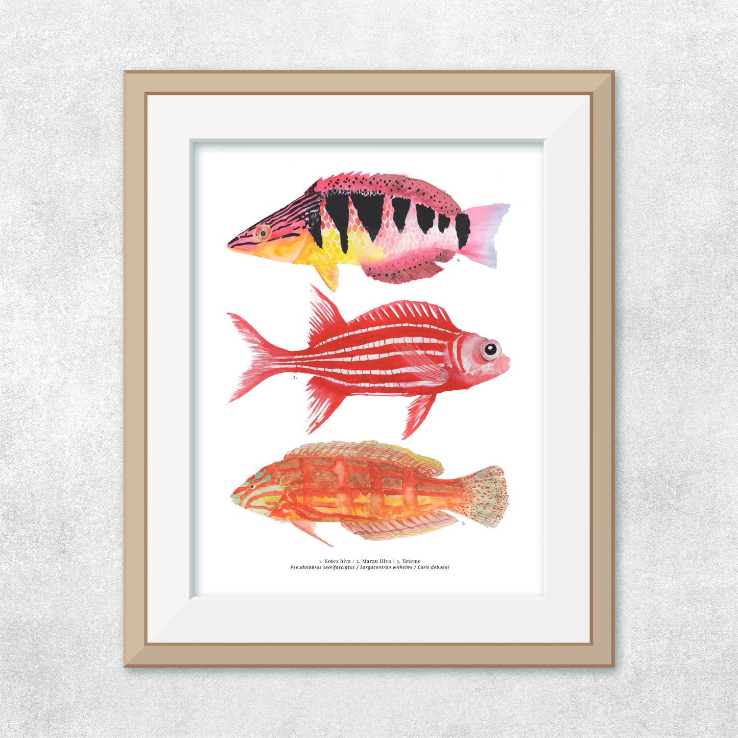 Reproducción de una ilustración en acuarela de 3 peces coloridos, pez Kotea hiva, pez marau hiva, pez teteme, con marco de madera.