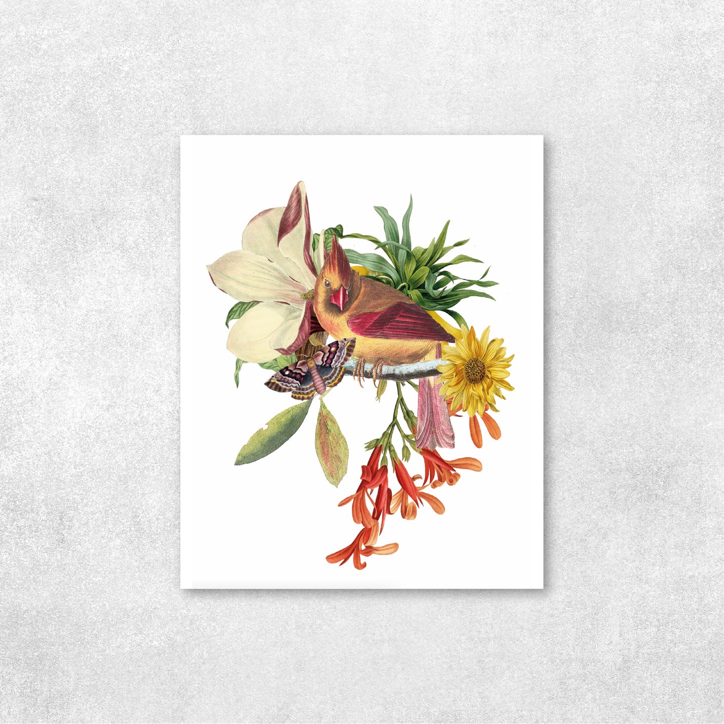 Collage botánico - Pájaro #1
