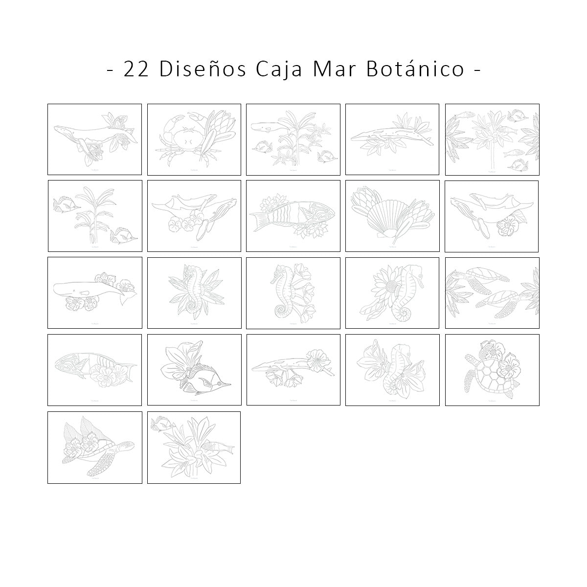 Mar Botánico. Láminas para pintar por TITA BIANCHI. 44 láminas para pintar con acuarela y todo tipo de lápices. Ilustraciones de ballenas, tortugas marinas, caballitos de mar