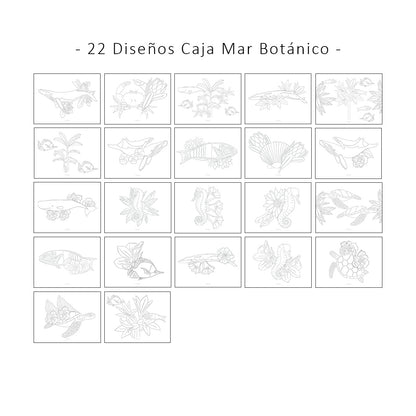 Mar Botánico. Láminas para pintar por TITA BIANCHI. 44 láminas para pintar con acuarela y todo tipo de lápices. Ilustraciones de ballenas, tortugas marinas, caballitos de mar