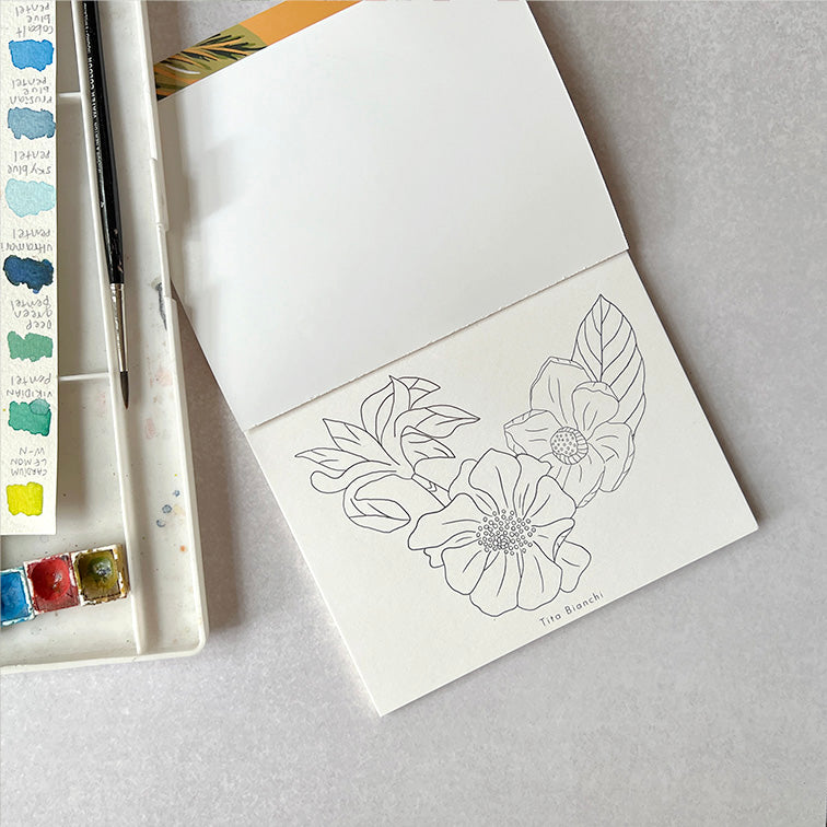 Libros para pintar inspirados en la naturaleza, tamaño pocket ideal para viaje, tita bianchi, pintar con acuarela y lápices 