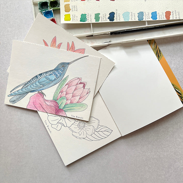Libros para pintar inspirados en la naturaleza, tamaño pocket ideal para viaje, tita bianchi, pintar con acuarela y lápices 