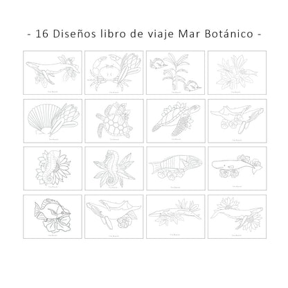 Libros para pintar inspirados en la naturaleza, tamaño pocket ideal para viaje, tita bianchi, pintar con acuarela y lápices 