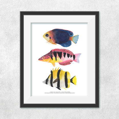 3 Peces Rapa Nui #3
