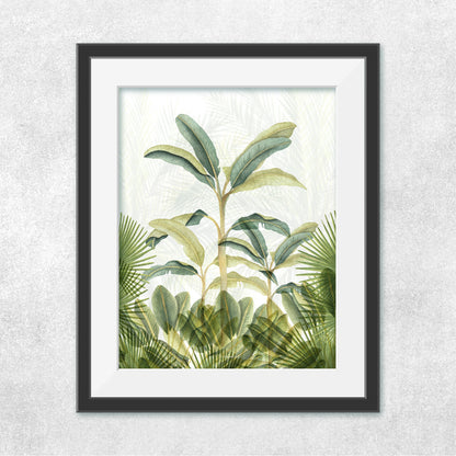 Selva Platanera