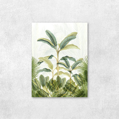 Selva Platanera